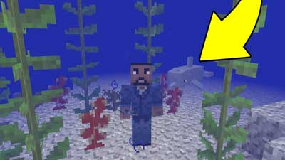 Minecraft-Aquatic-Update